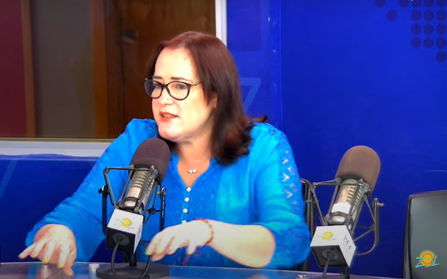 Janet Camilo no permitiría parqueadores ni limpia vidrios como alcaldesa.